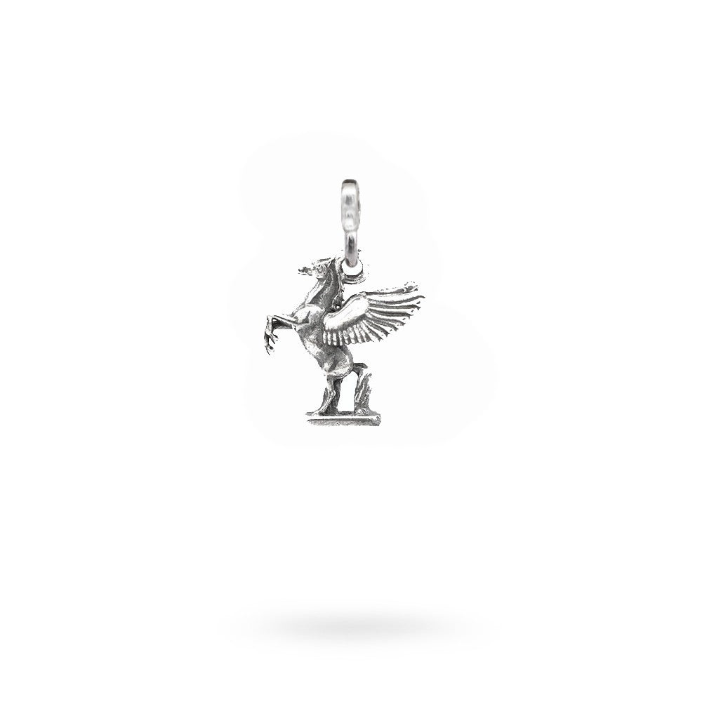 CHARM PEGASO MAGLINA