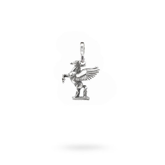 CHARM PEGASO MAGLINA