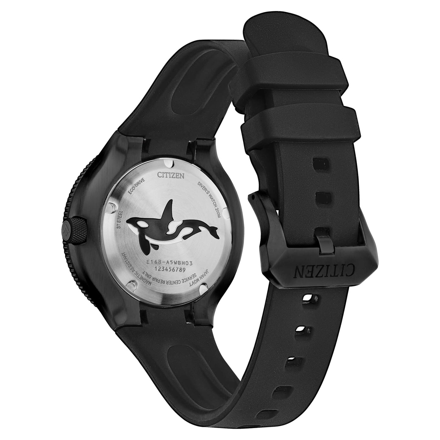 Diver's Eco Drive 200 mt "Orca"